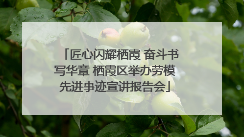 匠心闪耀栖霞 奋斗书写华章 栖霞区举办劳模先进事迹宣讲报告会