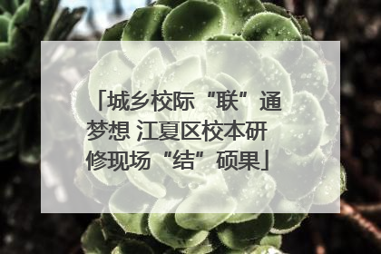 城乡校际“联”通梦想 江夏区校本研修现场“结”硕果