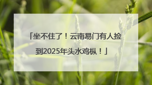 坐不住了！云南易门有人捡到2025年头水鸡枞！