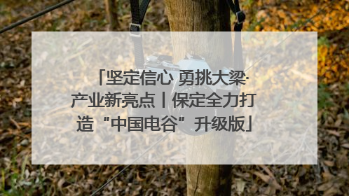 坚定信心 勇挑大梁·产业新亮点丨保定全力打造“中国电谷”升级版