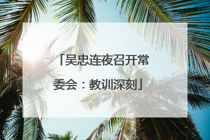 吴忠连夜召开常委会：教训深刻