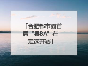 合肥都市圈首届“县BA”在定远开赛
