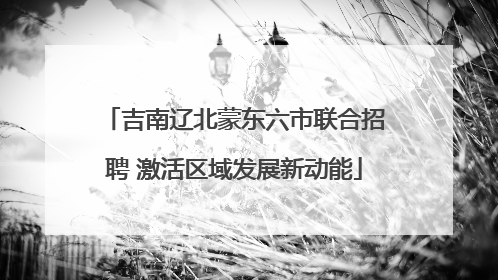 吉南辽北蒙东六市联合招聘 激活区域发展新动能