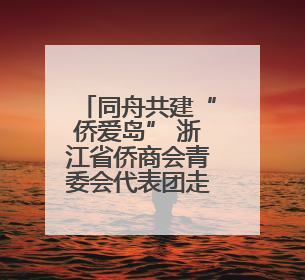 同舟共建“侨爱岛” 浙江省侨商会青委会代表团走进嵊泗