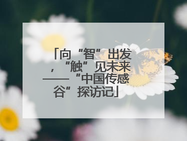 向“智”出发，“触”见未来——“中国传感谷”探访记