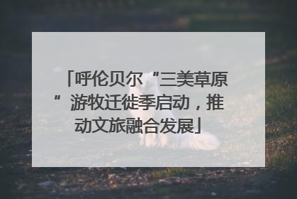 呼伦贝尔“三美草原”游牧迁徙季启动，推动文旅融合发展
