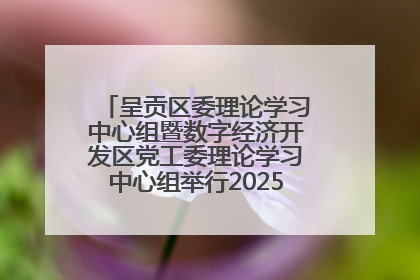 呈贡区委理论学习中心组暨数字经济开发区党工委理论学习中心组举行2025年第七次学习会议