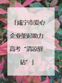 咸宁市爱心企业架起助力高考“清凉驿站”