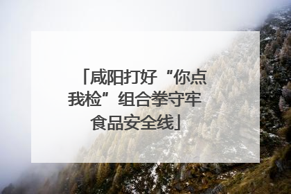 咸阳打好“你点我检”组合拳守牢食品安全线