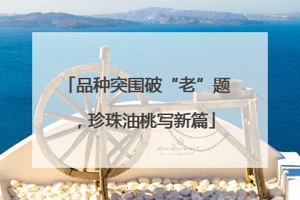 品种突围破“老”题，珍珠油桃写新篇