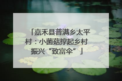嘉禾县普满乡太平村：小菌菇撑起乡村振兴“致富伞”