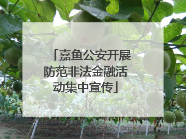 嘉鱼公安开展防范非法金融活动集中宣传