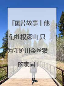 图片故事丨他们扎根深山 只为守护川金丝猴的家园