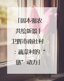 固本强农 共绘新景 ︳卫辉市南社村：蔬菜村的“链”动力