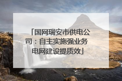 国网瑞安市供电公司：自主实施强业务 电网建设提质效