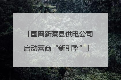 国网新蔡县供电公司启动营商“新引擎”