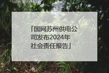 国网苏州供电公司发布2024年社会责任报告