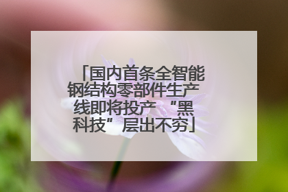国内首条全智能钢结构零部件生产线即将投产 “黑科技”层出不穷