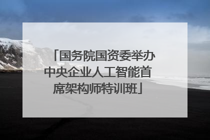 国务院国资委举办中央企业人工智能首席架构师特训班
