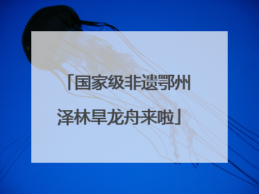 国家级非遗鄂州泽林旱龙舟来啦