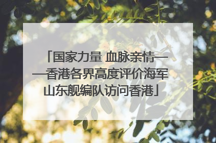 国家力量 血脉亲情——香港各界高度评价海军山东舰编队访问香港