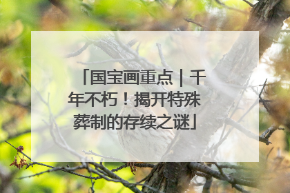 国宝画重点｜千年不朽！揭开特殊葬制的存续之谜