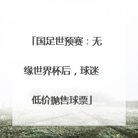 国足世预赛：无缘世界杯后，球迷低价抛售球票