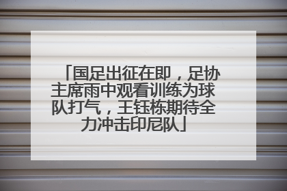 国足出征在即，足协主席雨中观看训练为球队打气，王钰栋期待全力冲击印尼队