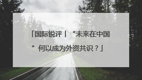 国际锐评丨“未来在中国”何以成为外资共识？