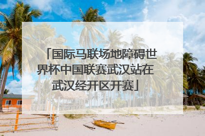 国际马联场地障碍世界杯中国联赛武汉站在武汉经开区开赛