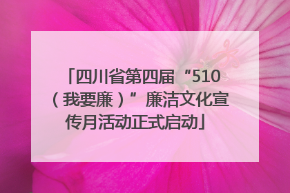 四川省第四届“510（我要廉）”廉洁文化宣传月活动正式启动