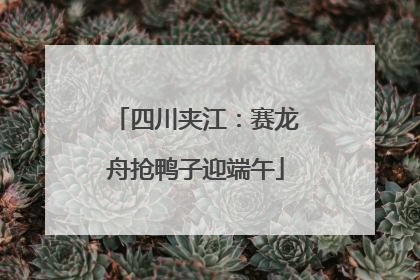 四川夹江：赛龙舟抢鸭子迎端午