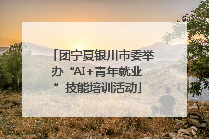 团宁夏银川市委举办“AI+青年就业”技能培训活动