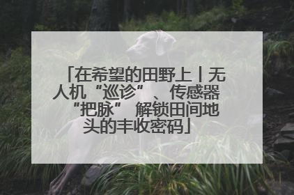 在希望的田野上丨无人机“巡诊”、传感器“把脉” 解锁田间地头的丰收密码