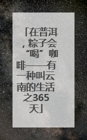 在普洱，粽子会“喝”咖啡——有一种叫云南的生活之365天
