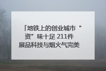 地铁上的创业城市“资”味十足 211件展品科技与烟火气完美融合｜西博视界
