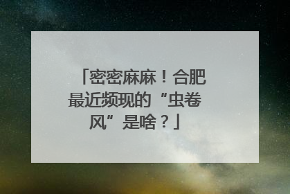 密密麻麻！合肥最近频现的“虫卷风”是啥？