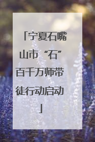 宁夏石嘴山市“石”百千万师带徒行动启动