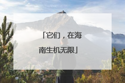 它们，在海南生机无限