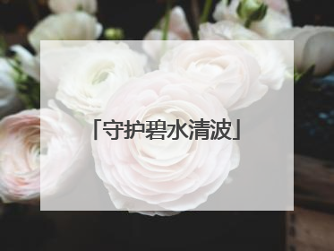 守护碧水清波