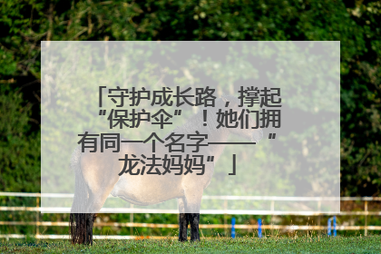 守护成长路，撑起“保护伞”！她们拥有同一个名字——“龙法妈妈”