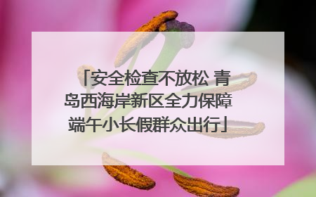 安全检查不放松 青岛西海岸新区全力保障端午小长假群众出行