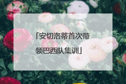 安切洛蒂首次带领巴西队集训