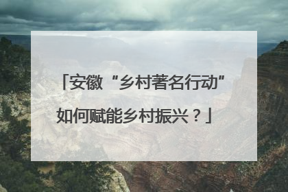 安徽“乡村著名行动”如何赋能乡村振兴？
