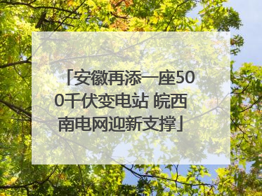 安徽再添一座500千伏变电站 皖西南电网迎新支撑