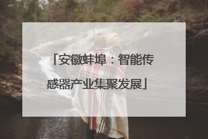 安徽蚌埠：智能传感器产业集聚发展