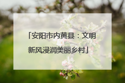 安阳市内黄县：文明新风浸润美丽乡村