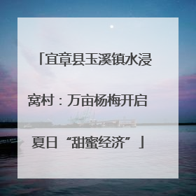 宜章县玉溪镇水浸窝村：万亩杨梅开启夏日“甜蜜经济”
