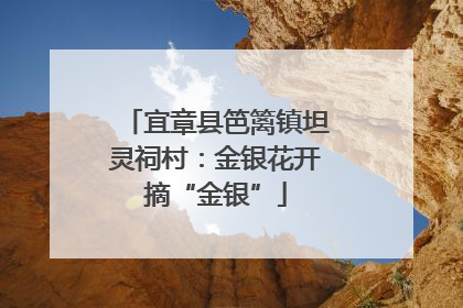 宜章县笆篱镇坦灵祠村：金银花开摘“金银”
