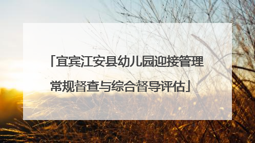 宜宾江安县幼儿园迎接管理常规督查与综合督导评估
